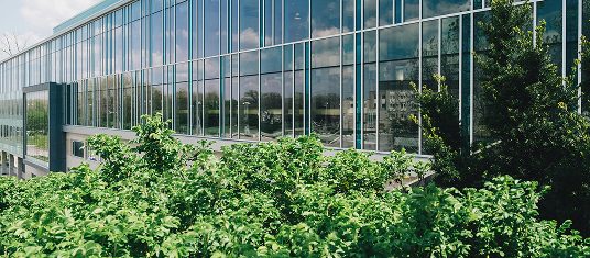 giu-vicente-FMArg2k3qOU-unsplash 2